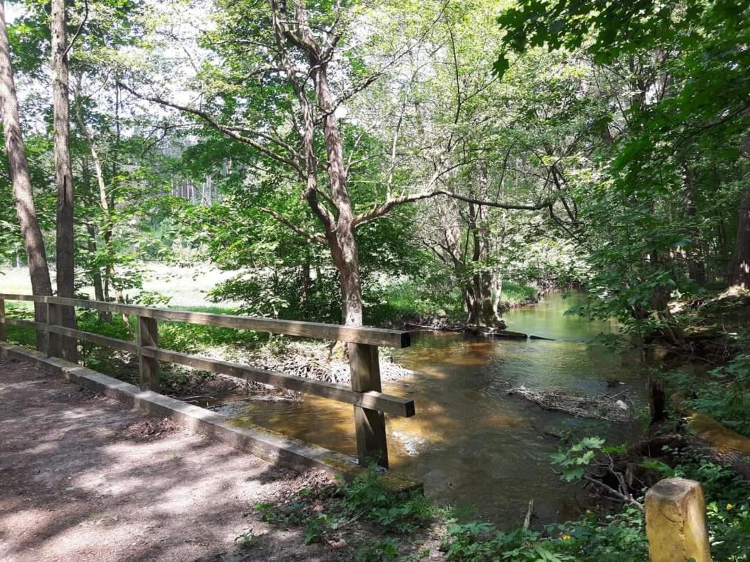 Mazury domek całoroczny Pelnik jezioro las Zewnętrze zdjęcie