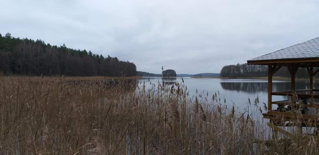 Mazury domek całoroczny Pelnik jezioro las Zewnętrze zdjęcie
